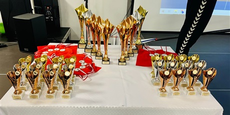 Powiększ grafikę: Puchary  i medale dla zwycięzców ustawione na stole
