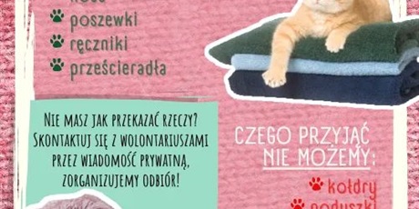 Zbiórka tekstyliów dla schroniska Promyk w Gdańsku